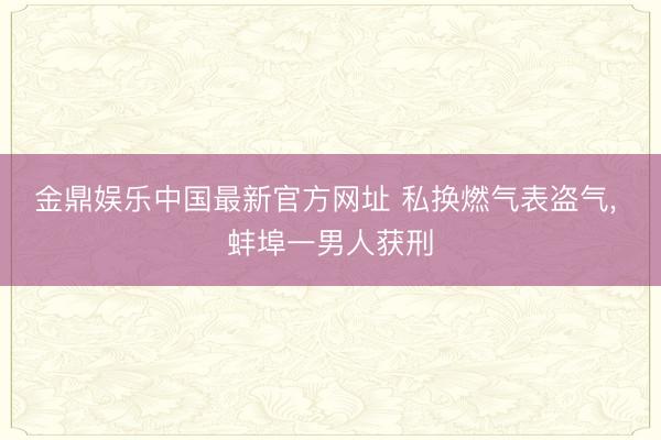 金鼎娱乐中国最新官方网址 私换燃气表盗气， 蚌埠一男人获刑