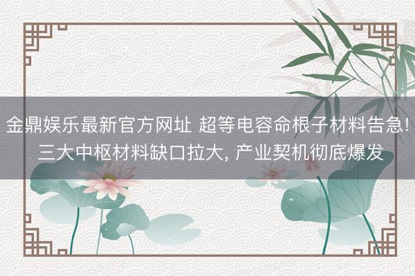 金鼎娱乐最新官方网址 超等电容命根子材料告急! 三大中枢材料缺口拉大， 产业契机彻底爆发