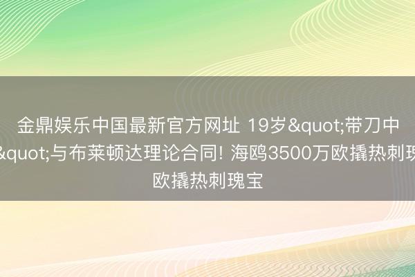 金鼎娱乐中国最新官方网址 19岁"带刀中卫"与布莱顿达理论合同! 海鸥3500万欧撬热刺瑰宝