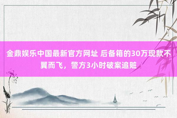 金鼎娱乐中国最新官方网址 后备箱的30万现款不翼而飞,警方3小时破案追赃